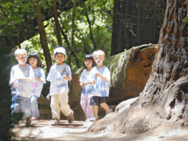 Local state parks in jeopardy of closing