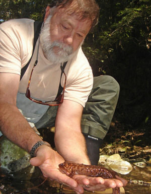 Nature Friendly: Rincon – the bend in the San Lorenzo River