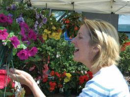 Newcomer takes in new farmers market