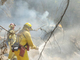 Bonny Doon survives fire; no houses burned