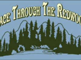 Race Thru the Redwoods gains popularity