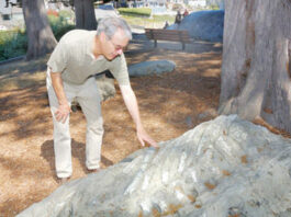Nature Friendly: Leaving no stone unturned