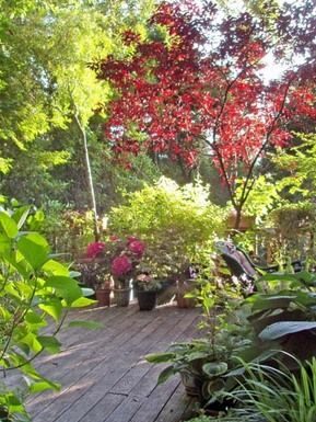 Mountain Gardener saves plants, one garden at a time