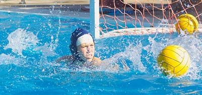 Hopes run high for Cougar water polo