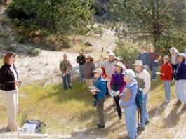Nature Friendly: Journey to the Forbidden Sandhills