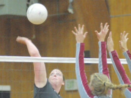 SLV scores volleyball win