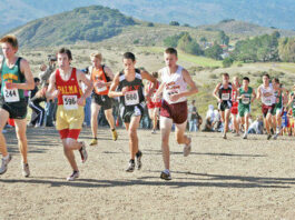 SLV runners battle flu to make state meet