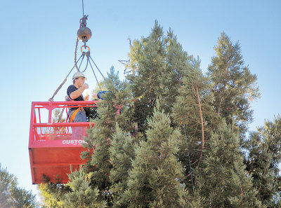 Weekend brings holiday festival to Scotts Valley