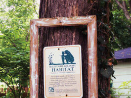 The Mountain Gardener: Make your habitat a wildlife habitat, too