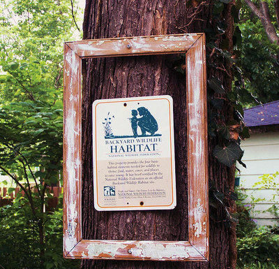 The Mountain Gardener: Make your habitat a wildlife habitat, too