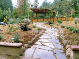 The Mountain Gardener: Use well this break in the rain