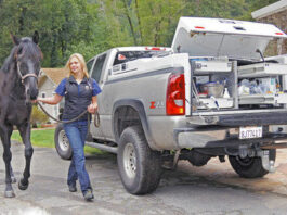 Veterinarian turns passion into profession