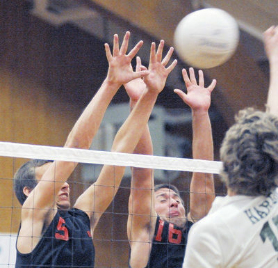 Cougars outplay Harbor