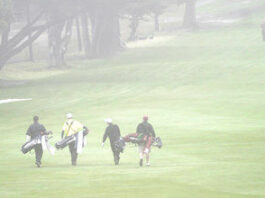 Gray day on the greens