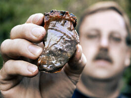 Rockhounds ready to show off their treasures
