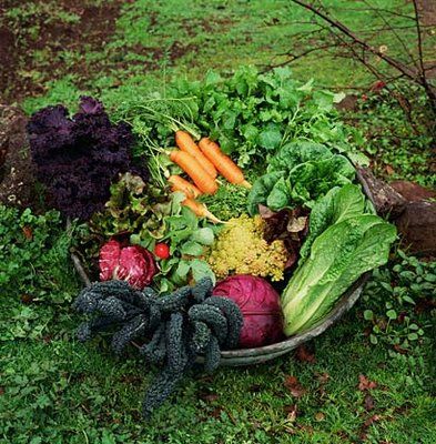 Mountain Gardener: Spring sun, showers call for mindful planting