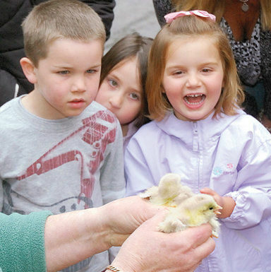 Firsthand learning at the feed store