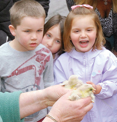 Firsthand learning at the feed store