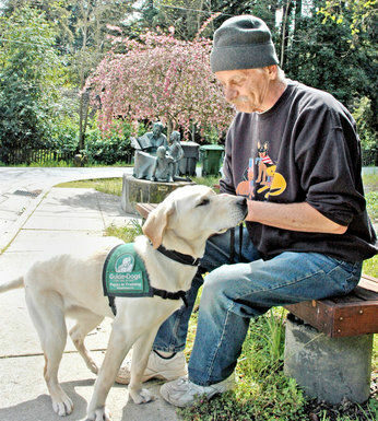 Trainer prepares pups for service