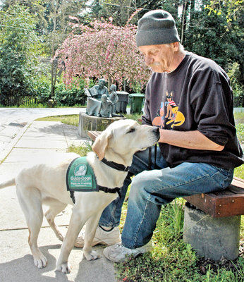 Trainer prepares pups for service