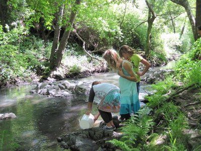 Let’s go Fishin’: Classes release steelhead fry