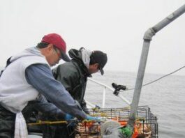 Let’s go fishin’: Freedom to fish