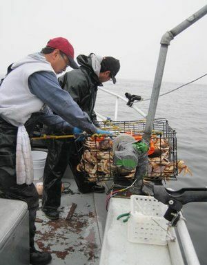Let’s go fishin’: Freedom to fish