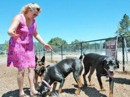 Dog owners give park a facelift