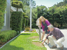 Contract available in landscape design contest