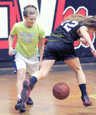 High hopes: Falcons, Cougars warm up for hoops season