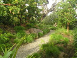 The Mountain Gardener: As garden stirs, it’s the time to plan