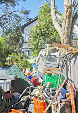 Illegal marijuana plants found in blighted Felton home