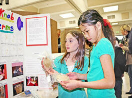 Young scientists at work