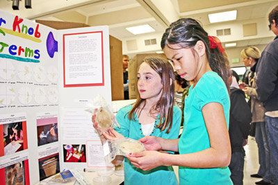 Young scientists at work - Press Banner | Scotts Valley, CA