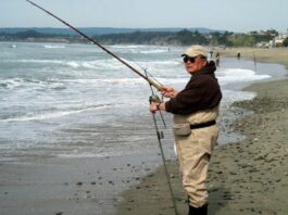 Let’s go fishin’: Crabs, dabs, perch produce fishing action