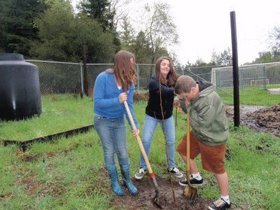 Nature Friendly: Nature Academy honors Arbor Day