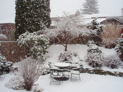 The Mountain Gardener: Garden lessons from the snowy northwest corner of the United States