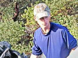 Scout cleans up old Henry Cowell grow