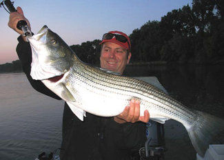 Let’s Go Fishin’: Striped bass show for anglers