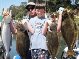 Let’s go fishin’: Changing tides