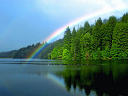 City of Santa Cruz petitions to expand rights to San Lorenzo River water San lorenzo valley water city of santa cruz