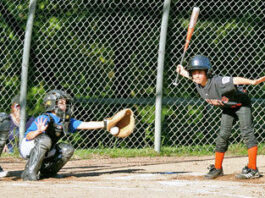 Little League round up