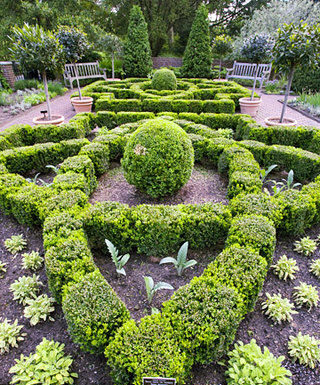 The Mountain Gardener: Grow your own herbs