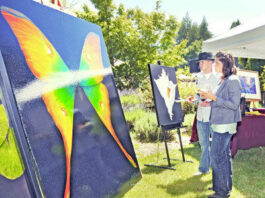 Art and wine celebrated in Bonny Doon