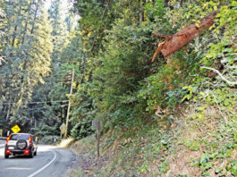 Cut logs above Highway 9 concern locals