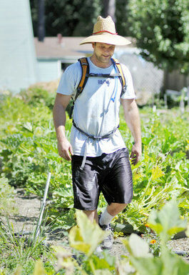 Sustainable living: Local family takes to farming