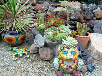 The Mountain Gardener: Low-water succulents are garden hits