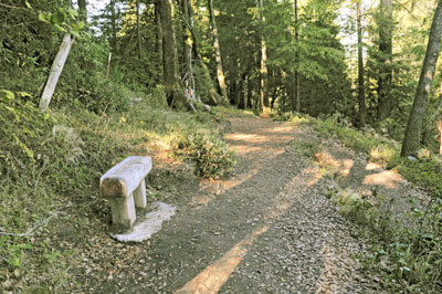 Scotts Valley trail system likely to grow with partnership