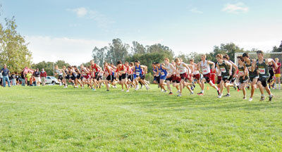 League Champions! Cougars sweep cross country crowns