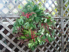 The Mountain Gardener: Garden trimmings gain new purpose to trim holiday halls